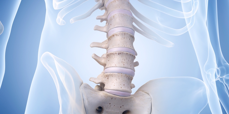 ANATOMÍA DE LA COLUMNA VERTEBRAL